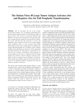 The Simian Virus 40 Large Tumor Antigen Activates Csrc and Requires Csrc for Full Neoplastic Transformation