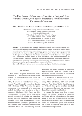 The First Record of Anourosorex (Insectivora, Soricidae) from Western Myanmar, with Special Reference to Identiﬁcation and Karyological Characters