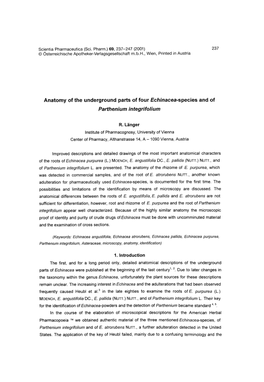Anatomy of the Underground Parts of Four Echinacea-Species and of Parthenium Integrifolium