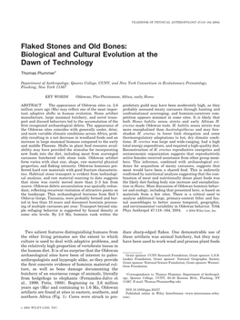 Flaked Stones and Old Bones: Biological and Cultural Evolution at the Dawn of Technology