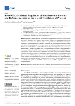 Micrornas Mediated Regulation of the Ribosomal Proteins and Its Consequences on the Global Translation of Proteins