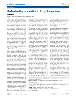 Understanding Adaptation in Large Populations