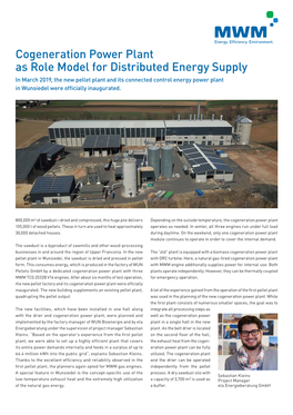 Cogeneration Power Plant As Role Model for Distributed Energy Supply