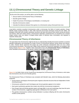 Chromosomal Theory and Genetic Linkage