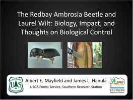 The Redbay Ambrosia Beetle and Laurel Wilt: Biology, Impact, and Thoughts on Biological Control