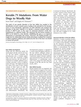 Keratin 71 Mutations: from Water Dogs to Woolly Hair