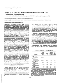 Studies on in Vitro DNA Synthesis.* Purification of the Dna G Gene