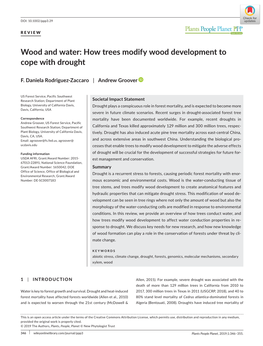 How Trees Modify Wood Development to Cope with Drought