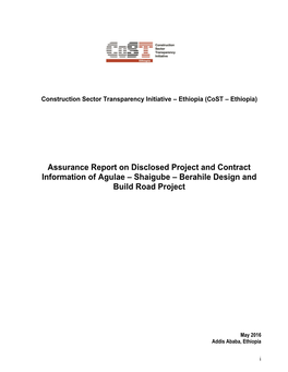 Assurance Profesional Combined Draft Report