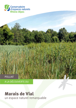 Marais De Vial Un Espace Naturel Remarquable Retour Aux Sources