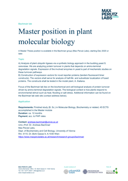 Master Position in Plant Molecular Biology