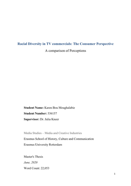 Racial Diversity in TV Commercials: the Consumer Perspective a Comparison of Perceptions