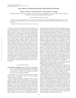 New Species of Paniceae (Poaceae, Panicoideae)