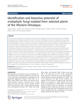 Identification and Bioactive Potential of Endophytic Fungi Isolated From