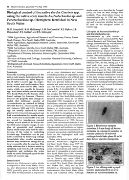 Biological Control of the Native Shrubs Cassinia Spp. Using the Native Scale Insects Austrotachardia Sp. and Paratachardina