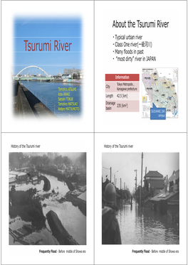 Tsurumi River ・Typical Urban River ・Class One River(一級河川) Tsurumi River ・Many Floods in Past ・ “Most Dirty” River in JAPAN