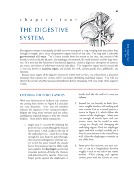 The Digestive System