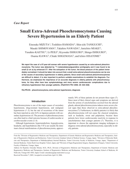 Small Extra-Adrenal Pheochromocytoma Causing Severe Hypertension in an Elderly Patient