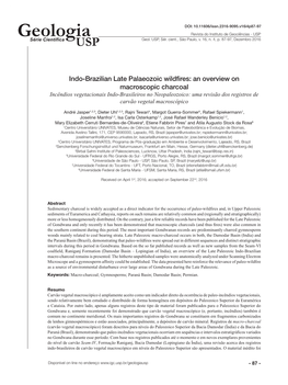 Indo-Brazilian Late Palaeozoic Wildfires