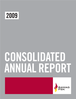 Consolidated-Annual-Report-2009