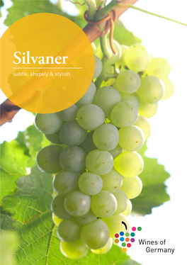 Silvaner Subtle, Shapely & Stylish