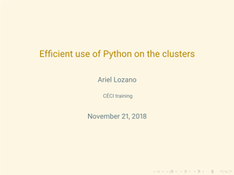 Efficient Use of Python on the Clusters