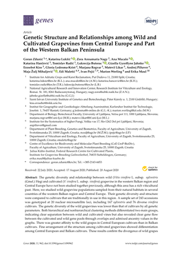 Genetic Structure and Relationships Among Wild and Cultivated Grapevines from Central Europe and Part of the Western Balkan Peninsula