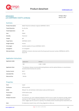 Anti-SERPINA9 / GCET1 Antibody (ARG41824)