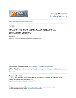 Roles of the Ion Channel Nalcn in Neuronal Excitability Control