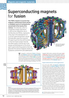 Superconducting Magnets for Fusion