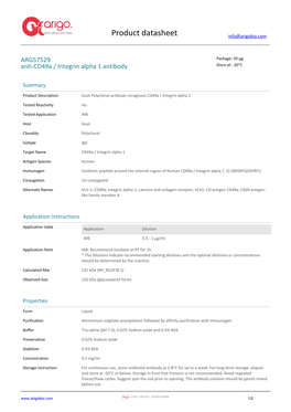 Anti-Cd49a / Integrin Alpha 1 Antibody (ARG57529)