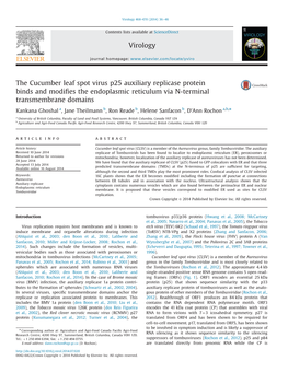 The Cucumber Leaf Spot Virus P25 Auxiliary Replicase Protein Binds and Modiﬁes the Endoplasmic Reticulum Via N-Terminal Transmembrane Domains