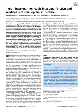 Type I Interferon Remodels Lysosome Function and Modifies Intestinal Epithelial Defense