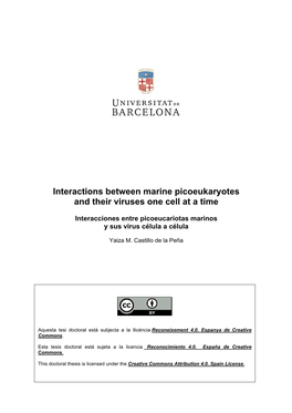 Interactions Between Marine Picoeukaryotes and Their Viruses One Cell at a Time