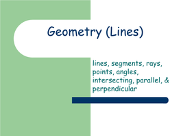 Geometry (Lines) SOL 4.14?