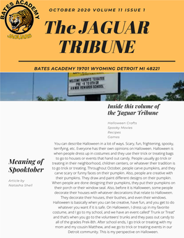 The JAGUAR TRIBUNE