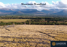 Moormore Woodland Near Coylumbridge, Inverness-Shire