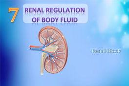 L7-Renal Regulation of Body Fluid [PDF]