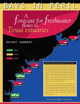 Texas Estuaries Human Recreational Activities