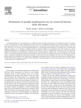 Mechanisms of Gonadal Morphogenesis Are Not Conserved Between Chick and Mouse ⁎ Ryohei Sekido , Robin Lovell-Badge