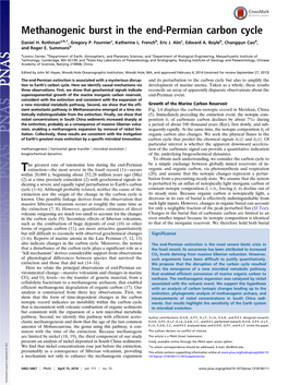 Methanogenic Burst in the End-Permian Carbon Cycle