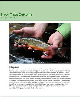 Brook Trout Outcome Management Strategy