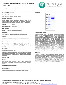Human ORP150 / HYOU1 / HSP12A Protein (His Tag)