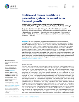 Profilin and Formin Constitute a Pacemaker System for Robust Actin