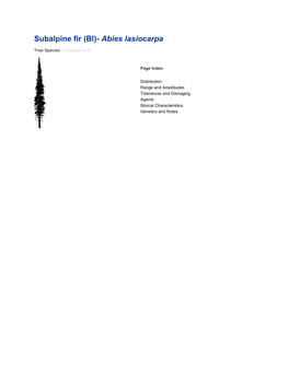 Subalpine Fir (Bl)- Abies Lasiocarpa