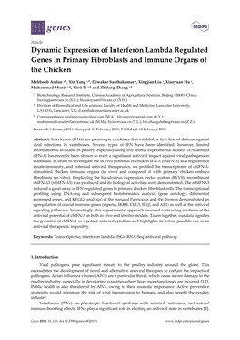 Dynamic Expression of Interferon Lambda Regulated Genes in Primary Fibroblasts and Immune Organs of the Chicken