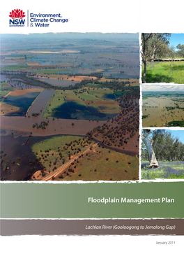 Lachlan River Gooloogong to Jemalong Gap Floodplain