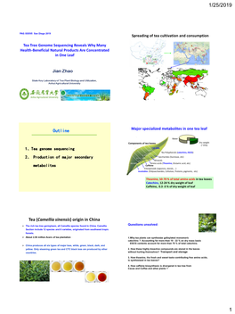 Outline Tea (Camellia Sinensis) Origin in China