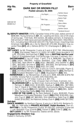 DARK BAY OR BROWN FILLY Barn 7 Hip No