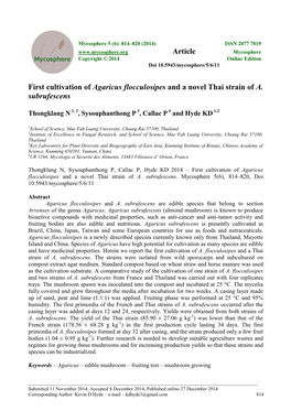 First Cultivation of Agaricus Flocculosipes and a Novel Thai Strain of A